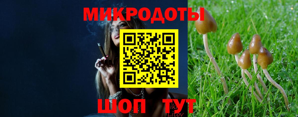 Знаменск  Псилоцибиновые грибы мицелий  Вход с VPN 